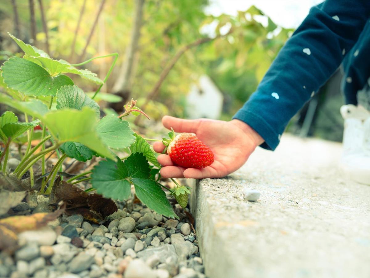 Garden Village Bled Eksteriør bilde